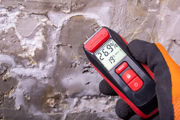 Best HVAC Mold Remediation in Blackwell, OK