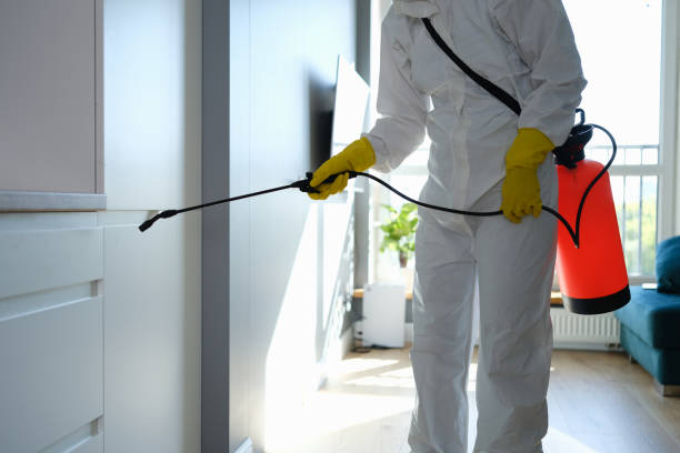 Best Post-Remediation Services in Blackwell, OK