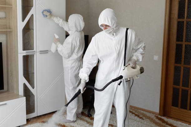 Best White Mold Remediation in Blackwell, OK