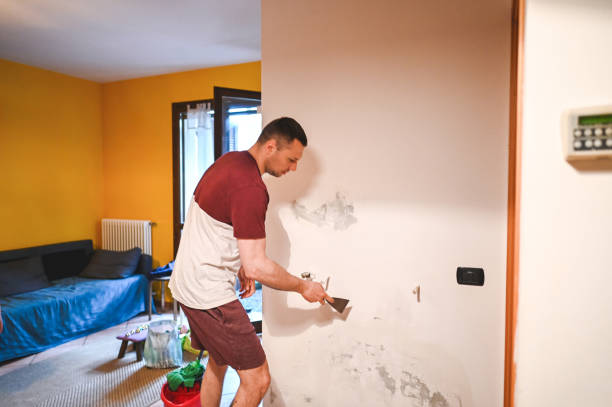 Best Residential Mold Remediation in Blackwell, OK